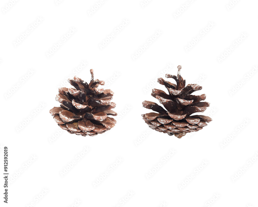 Two pine cones isolated on a white background, christmas and new year decoration Two pine cones isolated on a white background, christmas and new year decoration