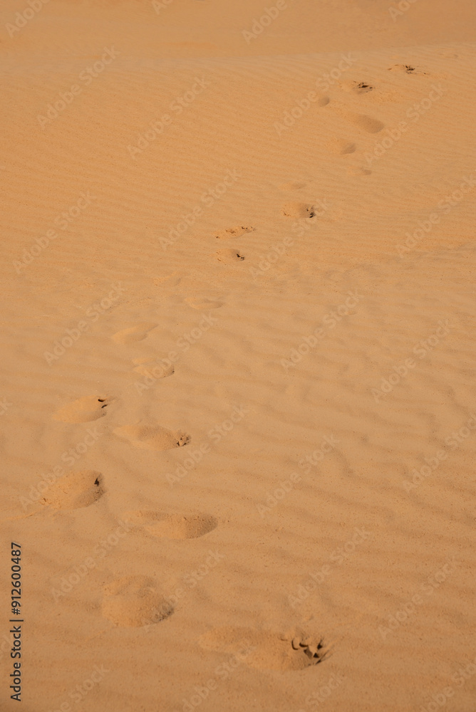 Human footprints in the dunes of the desert Human footprints in the dunes of the desert