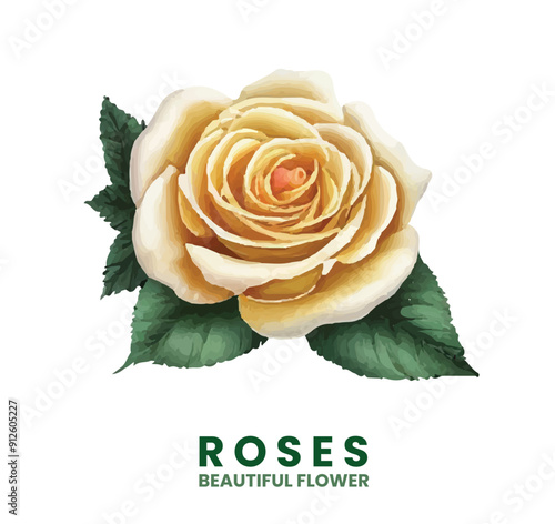 yellow rose isolated on white with watercolor style