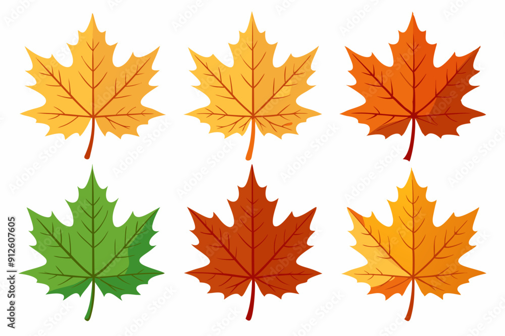 Maple leaf setart vector illustration Maple leaf setart vector illustration