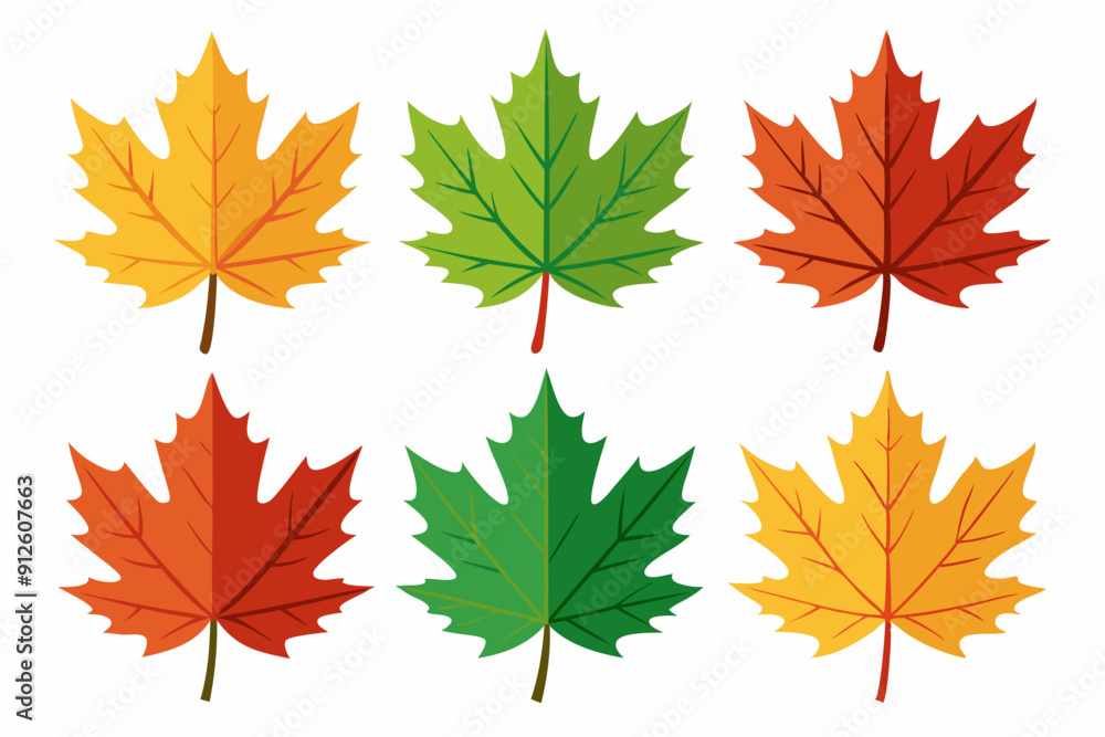 Obraz premium Maple leaf setart vector illustration