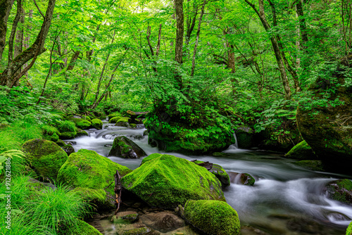 Konstfotografi Lush Greenery Surrounding a Flowing Stream in Oirase Gorge, Aomori, Japan