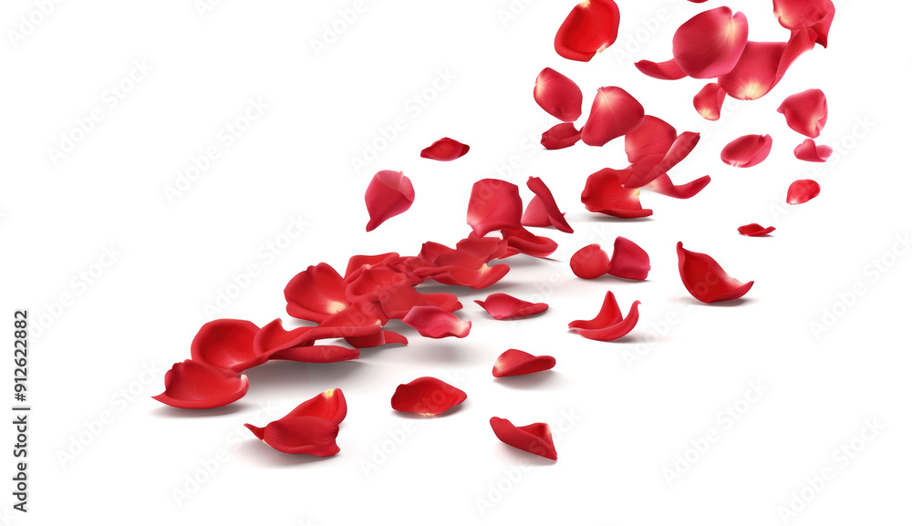 Red rose petals fall Red rose petals fall