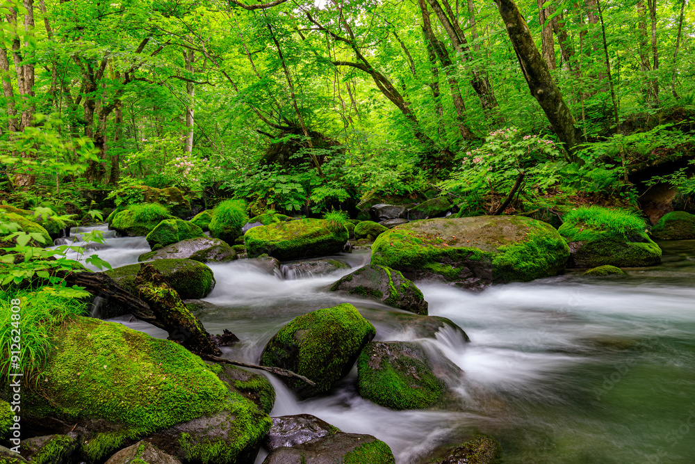 Serene Flow of Oirase River Amidst Lush Greenery in Aomori, Japan Serene Flow of Oirase River Amidst Lush Greenery in Aomori, Japan