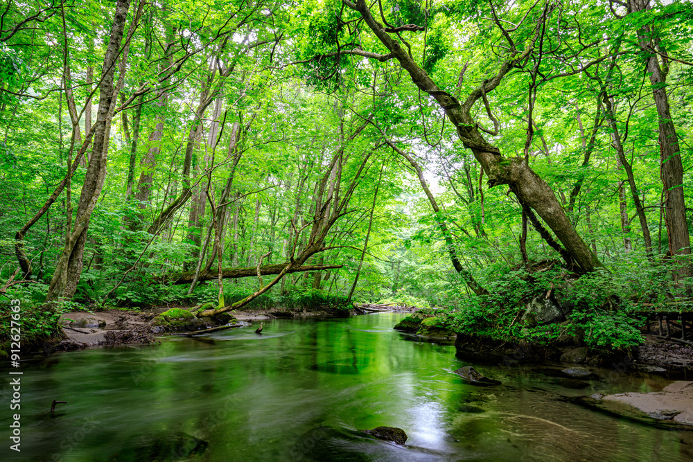 Serene Tranquility: A Glimpse into the Emerald Heart of Oirase River, Aomori, Japan Serene Tranquility: A Glimpse into the Emerald Heart of Oirase River, Aomori, Japan