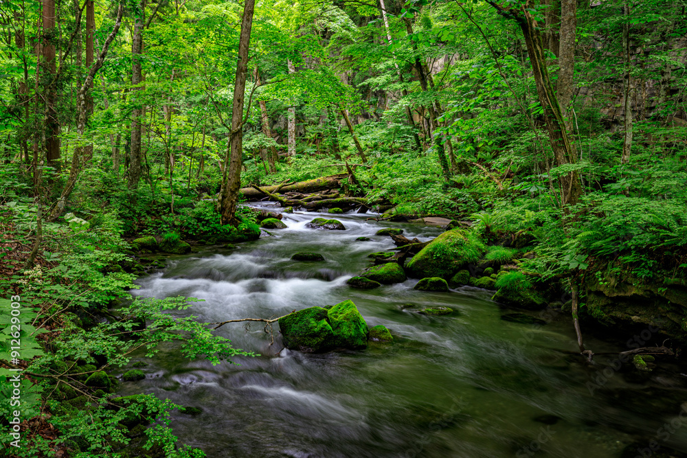 Serene Tranquility: Moss-Covered Rocks and Crystal-Clear Waters of the Oirase River, Aomori, Japan Serene Tranquility: Moss-Covered Rocks and Crystal-Clear Waters of the Oirase River, Aomori, Japan