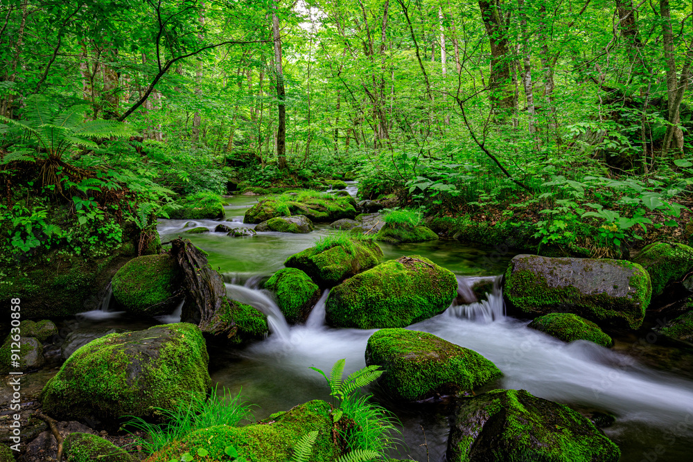 Serene Flow of Oirase River Amidst Lush Greenery in Aomori, Japan Serene Flow of Oirase River Amidst Lush Greenery in Aomori, Japan