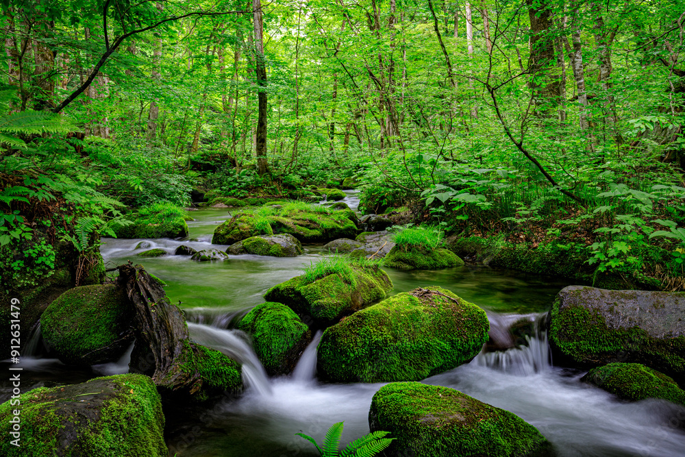 Emerald Tapestry: Oirase River's Mossy Embrace in Aomori, Japan Emerald Tapestry: Oirase River's Mossy Embrace in Aomori, Japan