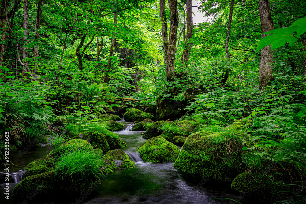 Serene Flow of Oirase River Amidst Lush Greenery in Aomori, Japan Serene Flow of Oirase River Amidst Lush Greenery in Aomori, Japan