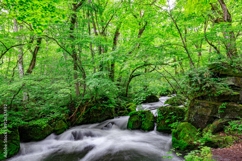 Serene Green Waters Flowing Through Mossy Rocks, Oirase River, Aomori, Japan Serene Green Waters Flowing Through Mossy Rocks, Oirase River, Aomori, Japan