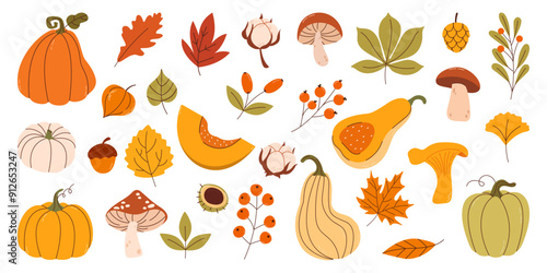 Simple Botanical Autumn vector doodle set of leaves, mushrooms, pumpkins, oak, acorn, tree leaves isolated on white background. Autumn themes, Halloween, Thanksgiving design elements, flat