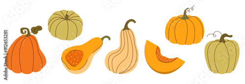 Set of simple autumn pumpkin. Hand drawn pumpkin squash in warm natural fall colors isolated on white. Vector illustration - autumn themes, Halloween, Thanksgiving design elements. Cute Pumpkins