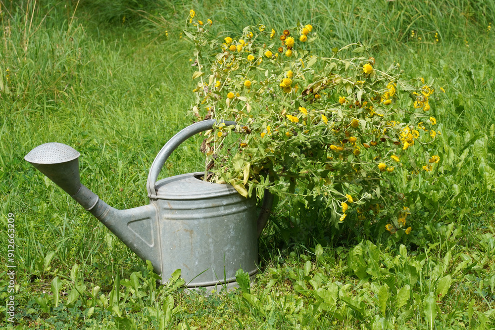 Blumen in alter Gießkanne