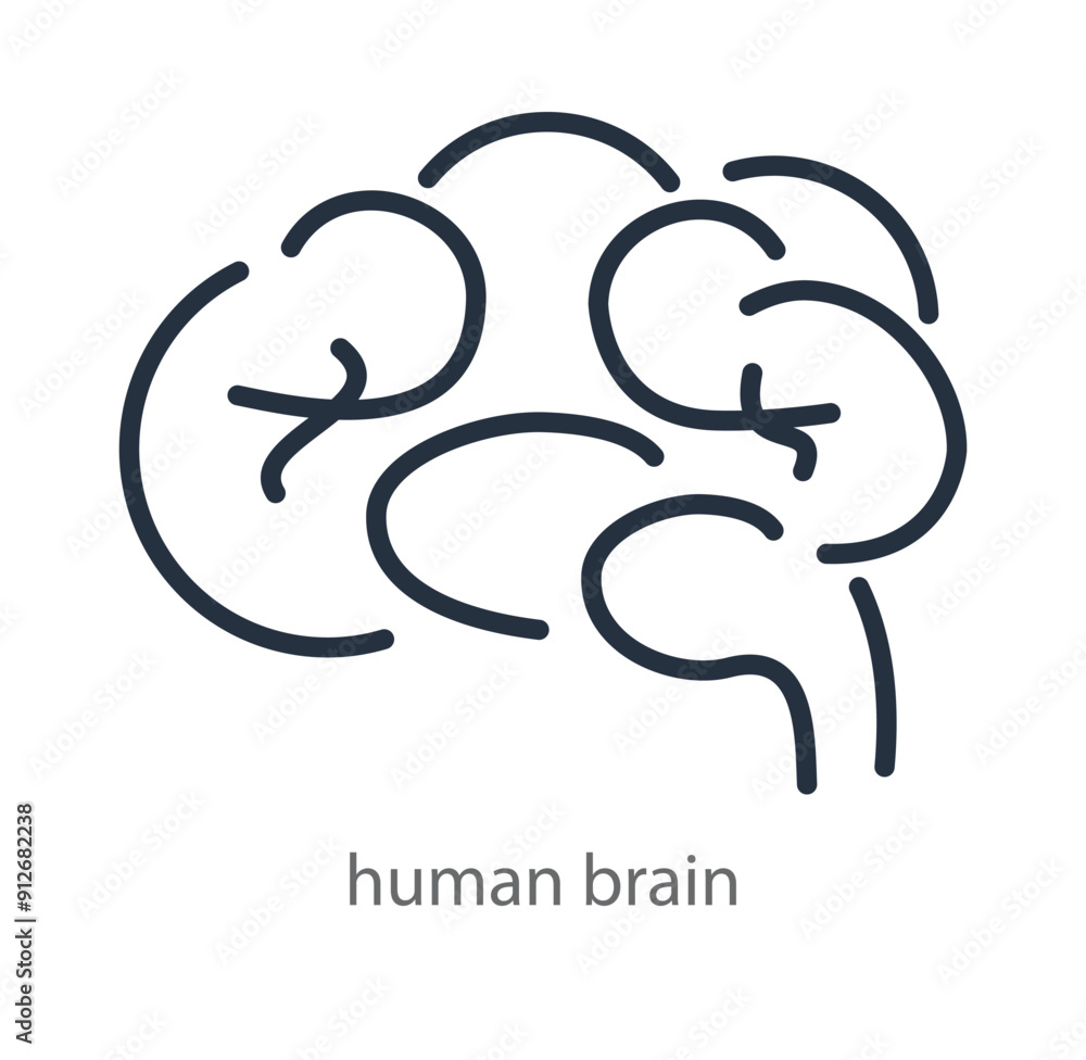 Human brain vector icon. Vector illustration Human brain vector icon. Vector illustration
