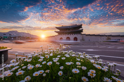 Gyeongbokgung Palace at sunset with flowers in the foreground and gwanghwamun Gate in the background, Seoul, South Korea. photo