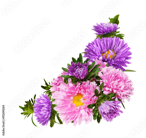 Pink and purple aster flowe...