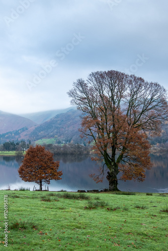 Trees by the side of Rydal Water Lake with mountains in the background in the Lake District National Park photo