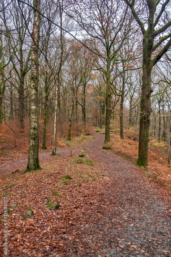 Path in autumn forest Path in autumn forest