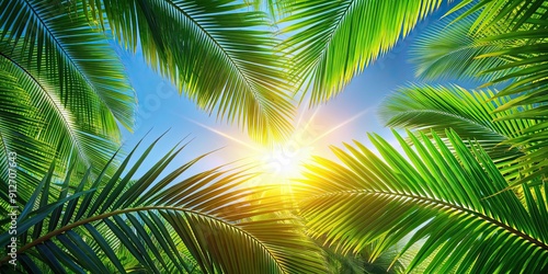 Summer sun shining through green palm tree leaves, sunny, tropical, foliage, vibrant, vacation, exotic, nature