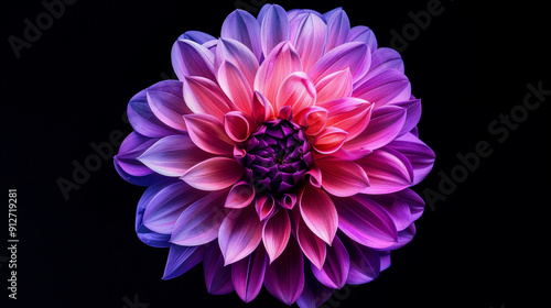 Photo of chrysanthemum close up