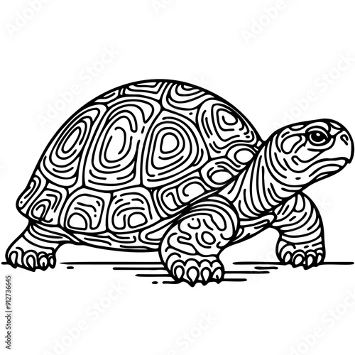 A turtle is shown in a black and white drawing. The turtle is standing on a surface and he is looking at the camera. The drawing has a simple and elegant style, with the focus on the turtle's form