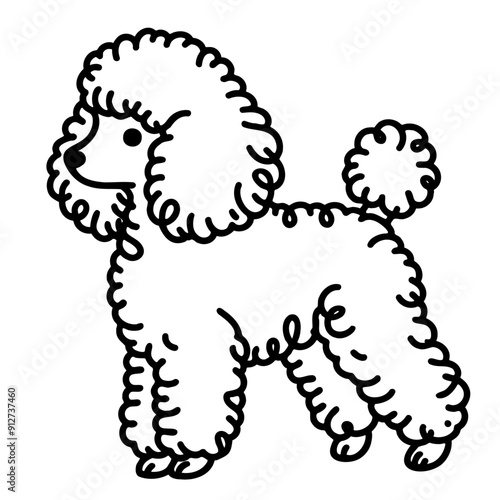 A poodle with a curly tail and a cute face. The poodle is standing up and looking at the camera photo