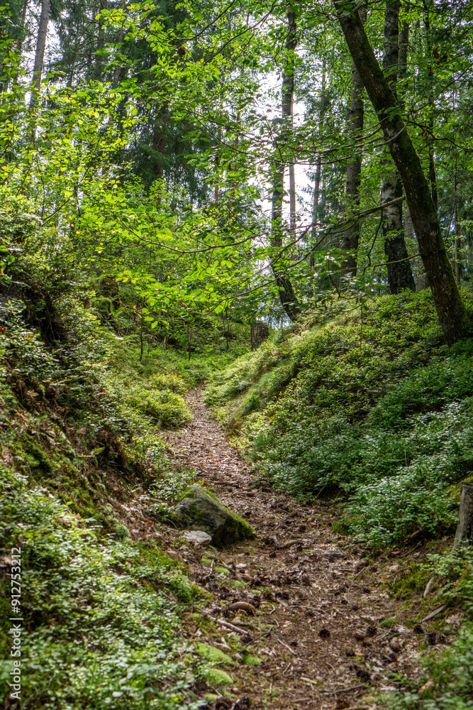 Path in the woods with oak und spruce trees ins Styria, Austria Path in the woods with oak und spruce trees ins Styria, Austria