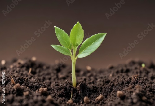 young plant sprout growing background ai