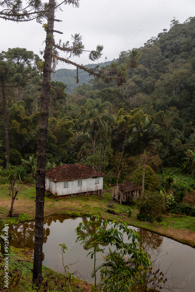 Casa de madeira no meio da floresta de araucárias Casa de madeira no meio da floresta de araucárias