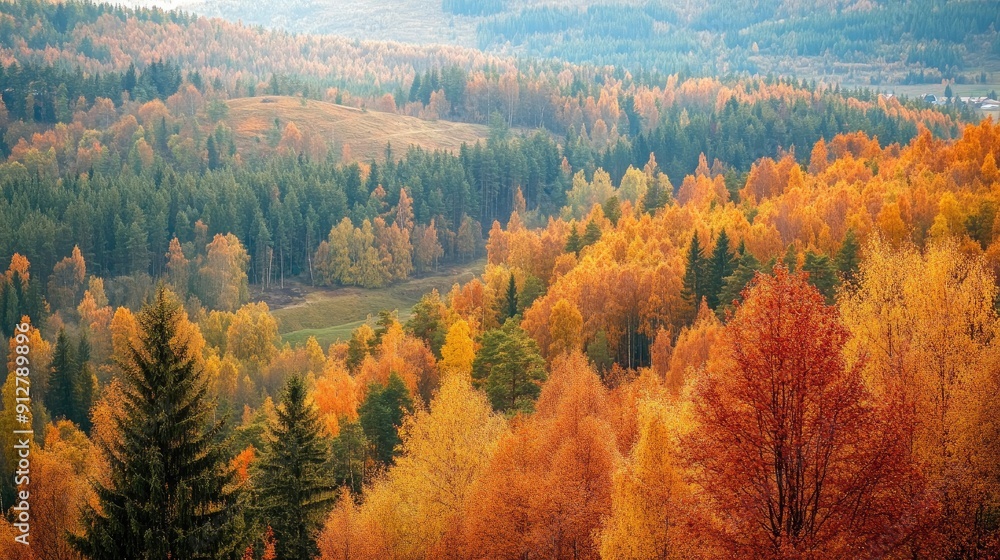 Aerial View of a Forested Hillside with Autumn Colors Aerial View of a Forested Hillside with Autumn Colors