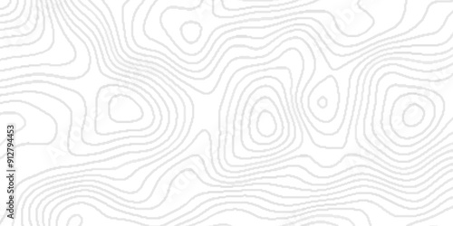 White wave paper curved reliefs abstract background,Line topography map contour background, geographic grid.paper texture Imitation of a geographical map shades ,