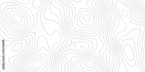 White wave paper curved reliefs abstract background,Line topography map contour background, geographic grid.paper texture Imitation of a geographical map shades ,