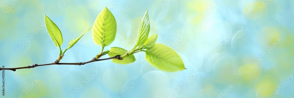 A fresh spring branch with green leaves against a soft, blurred blue and green background, symbolizing renewal and growth. A fresh spring branch with green leaves against a soft, blurred blue and green background, symbolizing renewal and growth.