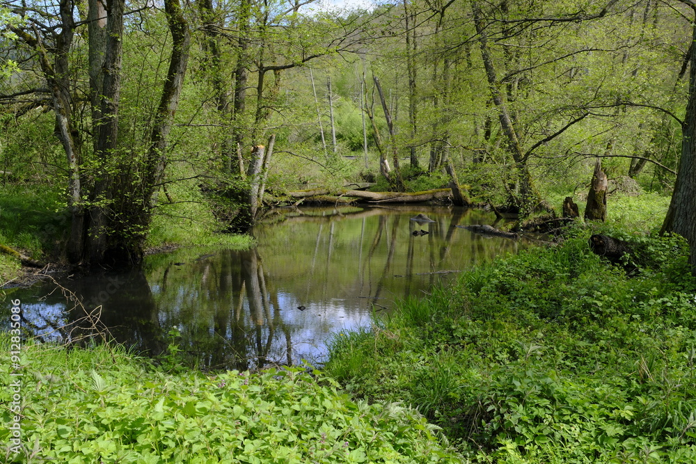 Landschaft im Sinntal zwischen Burgsinn und Rieneck, Landkreis Main-Spessart, Unterfranken, Franken, Bayern, Deutschland Landschaft im Sinntal zwischen Burgsinn und Rieneck, Landkreis Main-Spessart, Unterfranken, Franken, Bayern, Deutschland