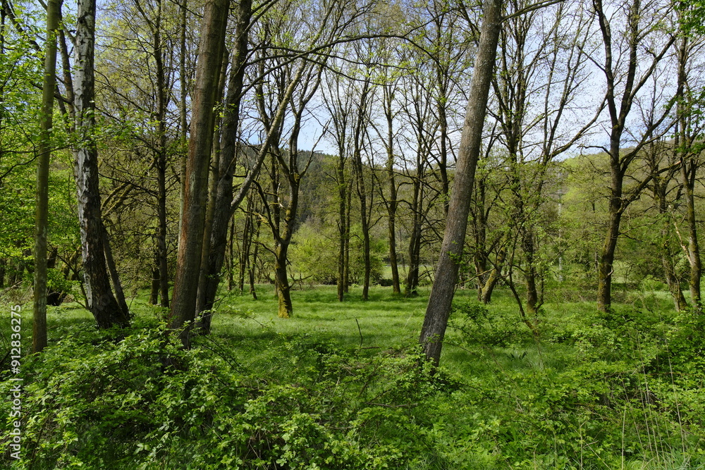 Obraz premium Landschaft im Sinntal zwischen Burgsinn und Rieneck, Landkreis Main-Spessart, Unterfranken, Franken, Bayern, Deutschland