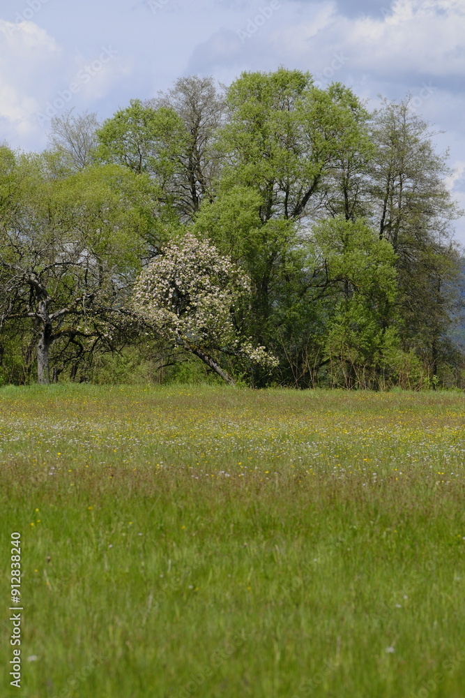 Landschaft im Sinntal zwischen Burgsinn und Rieneck, Landkreis Main-Spessart, Unterfranken, Franken, Bayern, Deutschland Landschaft im Sinntal zwischen Burgsinn und Rieneck, Landkreis Main-Spessart, Unterfranken, Franken, Bayern, Deutschland