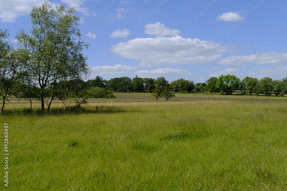Das Naturschutzgebiet Lange Rhön in der Kernzone des Biosphärenreservat Rhön, Bayerischen Rhön, Landkreis Rhön-Grabfeld, Unterfranken, Bayern, Deutschland Das Naturschutzgebiet Lange Rhön in der Kernzone des Biosphärenreservat Rhön, Bayerischen Rhön, Landkreis Rhön-Grabfeld, Unterfranken, Bayern, Deutschland
