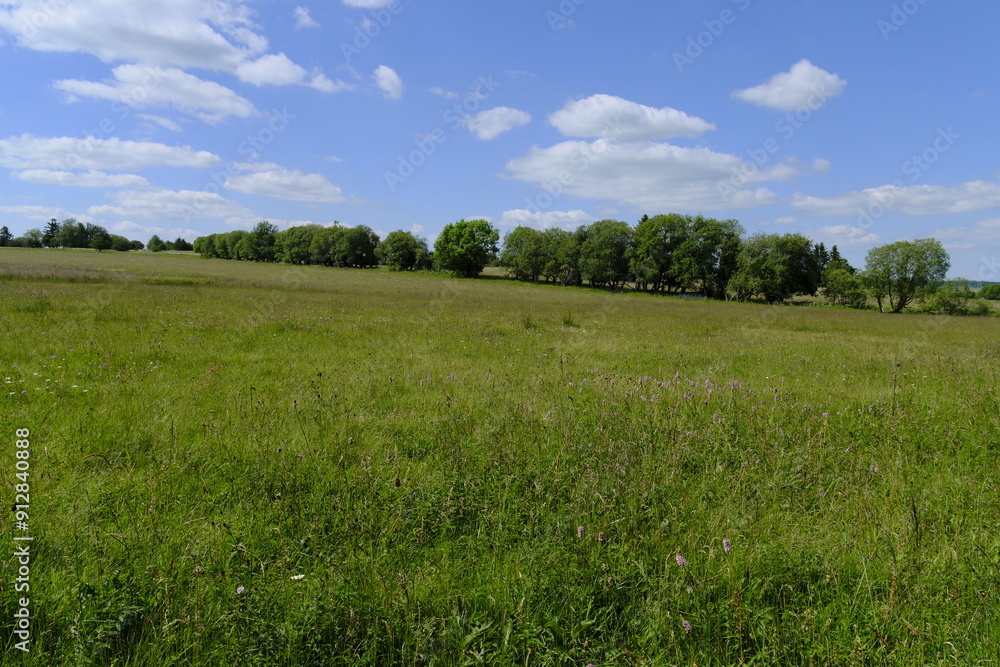 Das Naturschutzgebiet Lange Rhön in der Kernzone des Biosphärenreservat Rhön, Bayerischen Rhön, Landkreis Rhön-Grabfeld, Unterfranken, Bayern, Deutschland Das Naturschutzgebiet Lange Rhön in der Kernzone des Biosphärenreservat Rhön, Bayerischen Rhön, Landkreis Rhön-Grabfeld, Unterfranken, Bayern, Deutschland