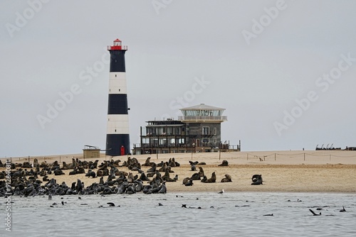 Seals at lighthouse, Walvis Bay, Namibia