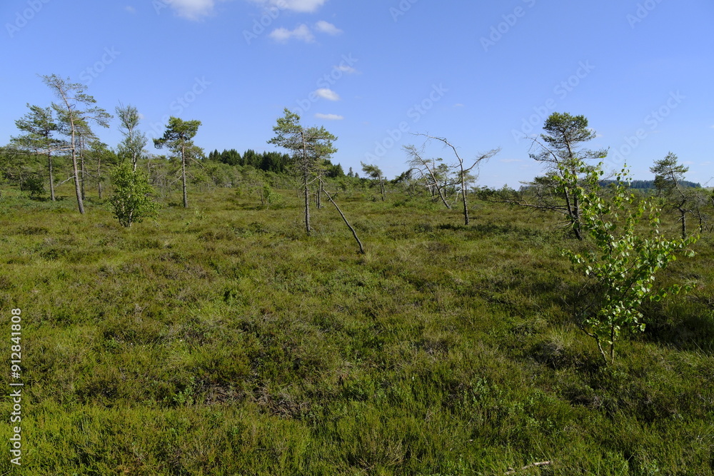 Das Naturschutzgebiet 