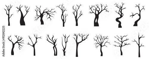 black naked tree silhouettes isolated winter flat trees dead dry branch trunk Marple oak abstract