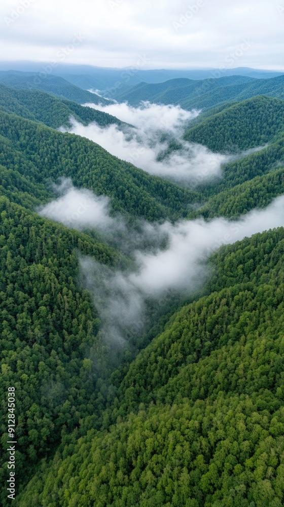 A stunning forest valley filled with vibrant greenery, nestled between towering mountains, illuminated by soft morning sunlight and scattered clouds A stunning forest valley filled with vibrant greenery, nestled between towering mountains, illuminated by soft morning sunlight and scattered clouds