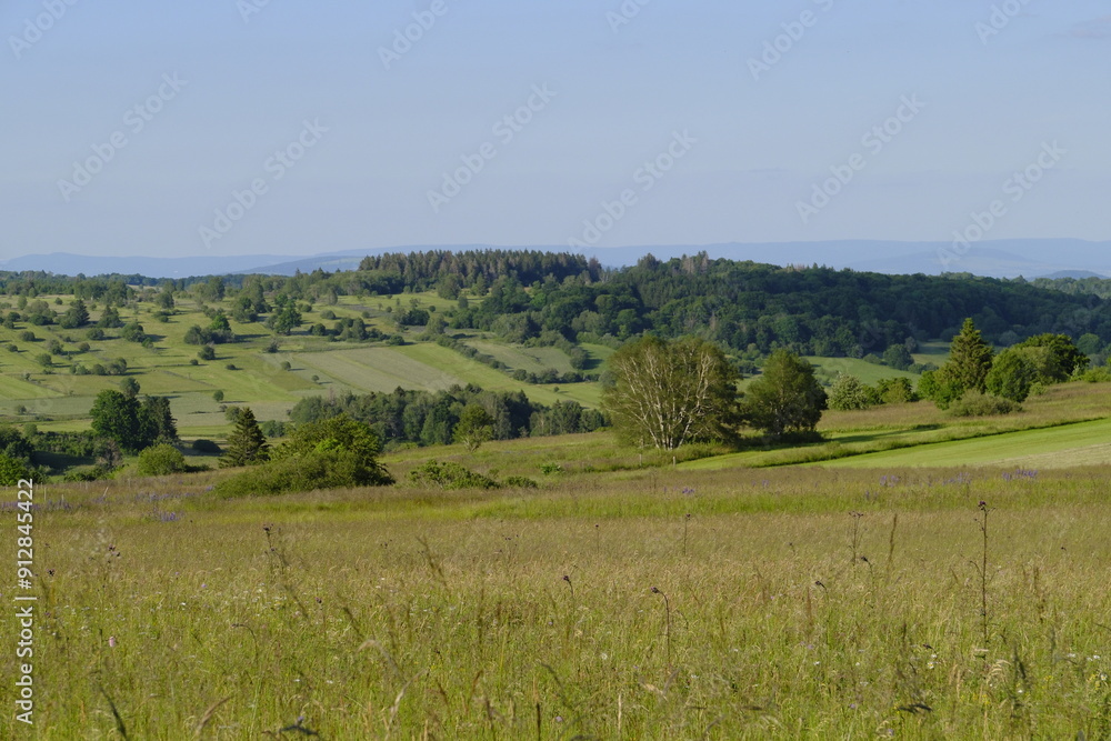 Fototapeta premium Das Naturschutzgebiet Lange Rhön in der Kernzone des Biosphärenreservat Rhön, Bayerischen Rhön, Landkreis Rhön-Grabfeld, Unterfranken, Bayern, Deutschland