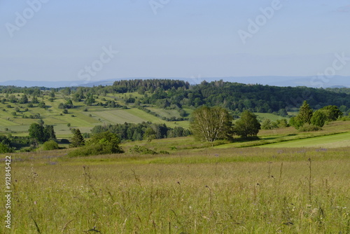 Das Naturschutzgebiet Lange Rhön in der Kernzone des Biosphärenreservat Rhön, Bayerischen Rhön, Landkreis Rhön-Grabfeld, Unterfranken, Bayern, Deutschland