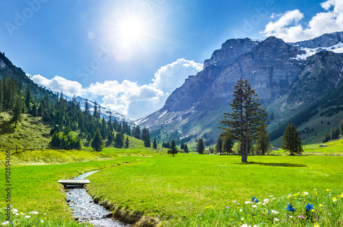 Schöne Schweizer Landschaft im Frühling