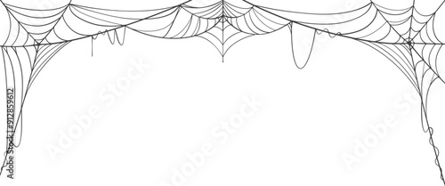 Spider web line art vector