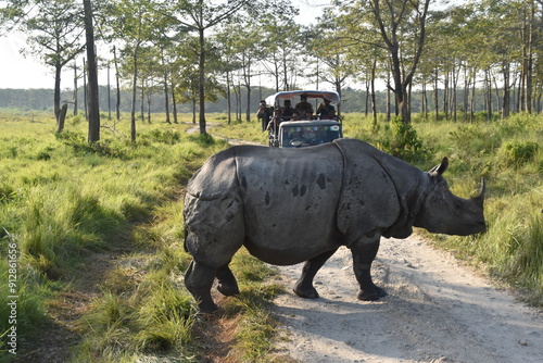 A large Indian Rhinoceros with a safari jeep in the background in Chitwan, Nepal