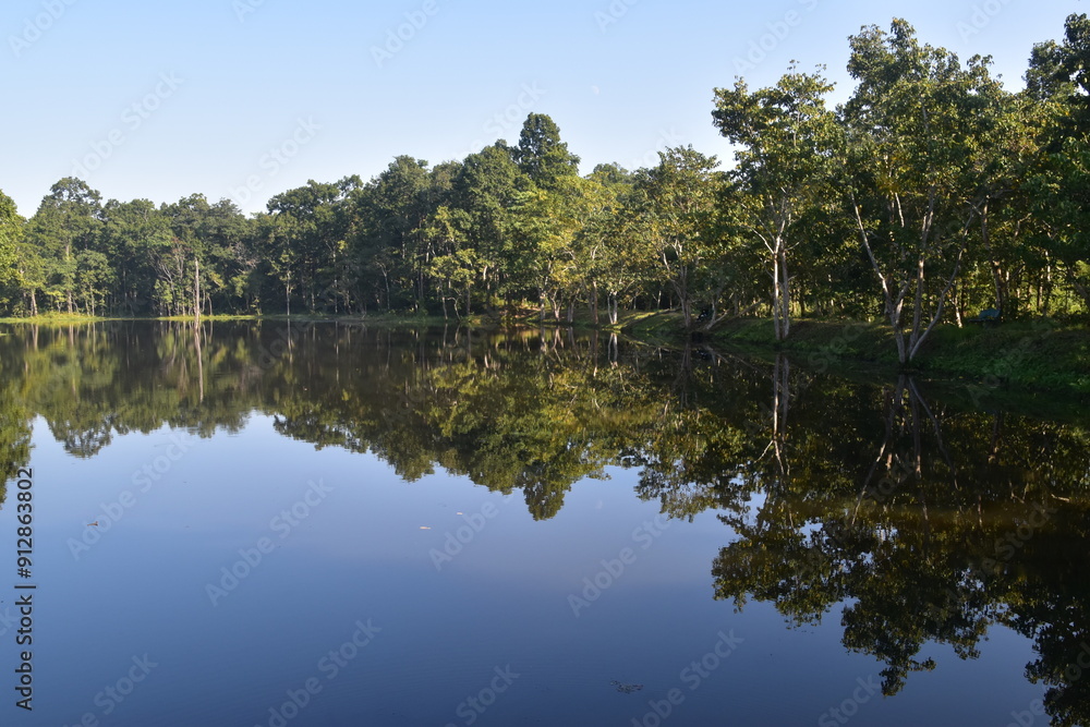 A perfect lake reflection in the jungle and rainforest around Chitwan, Nepal A perfect lake reflection in the jungle and rainforest around Chitwan, Nepal