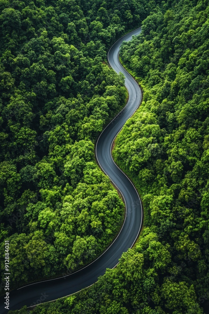 Aerial view asphalt road on green forest Aerial view asphalt road on green forest