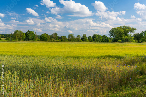 Unterwegs zwischen Vogelschutzgebiet NSG Garstadt und der Mainebne bei Hirschfeld und Heidenfeld im Landkreis Schweinfurt, Unterfranken, Bayern, Deutschland photo